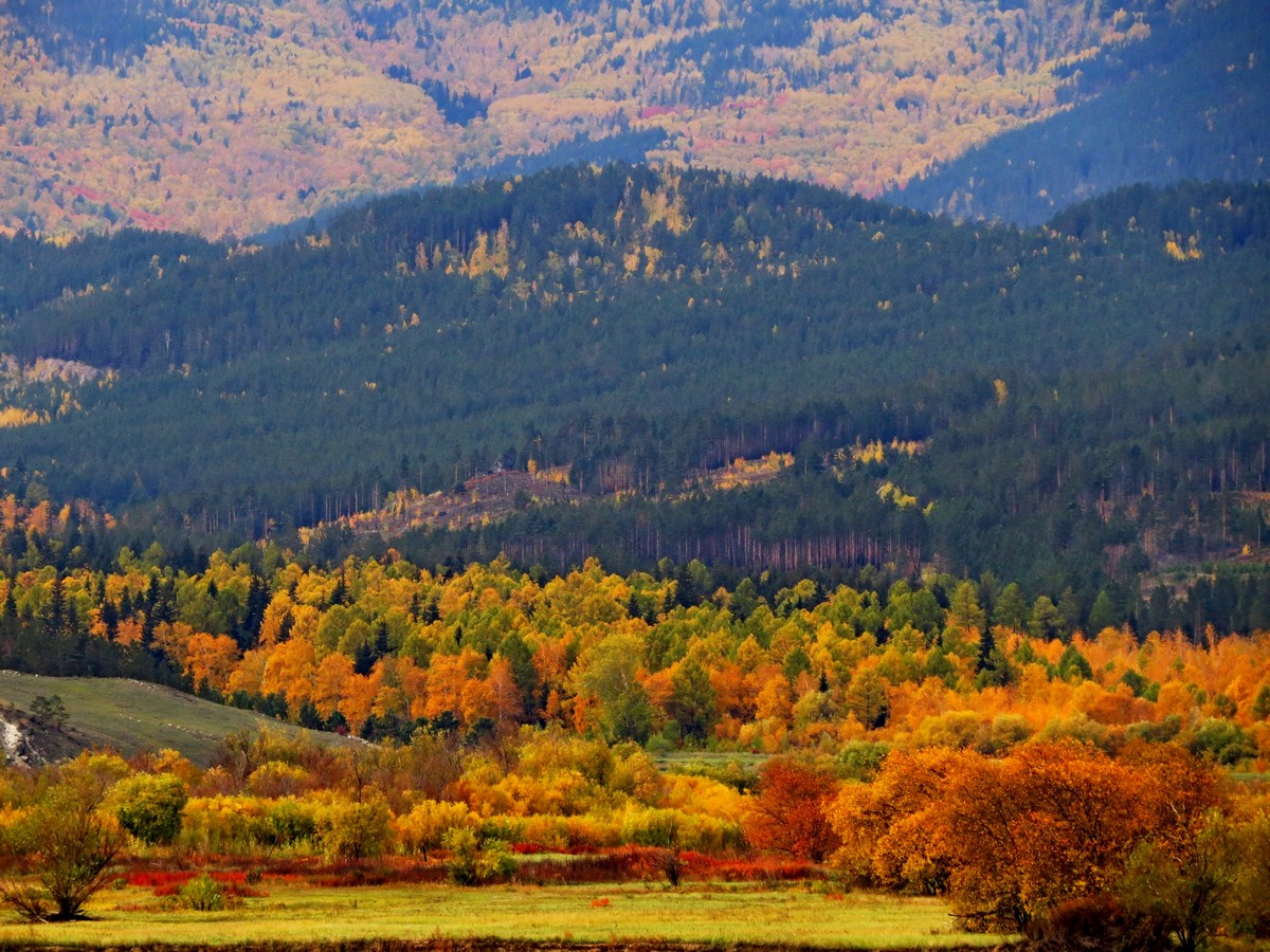 ����� �������