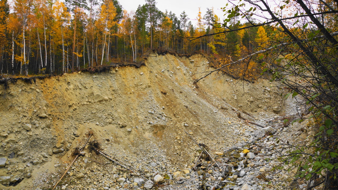 � ����� �����, ����� ������ �