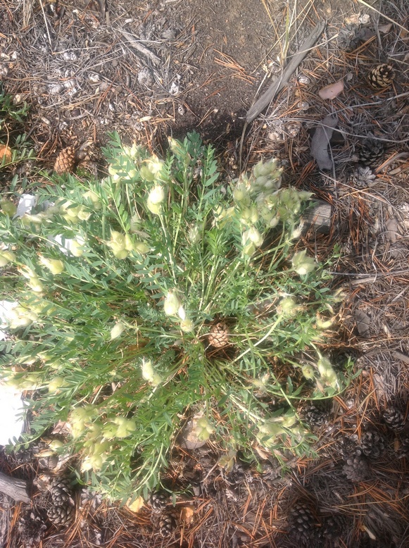 ������������� ?