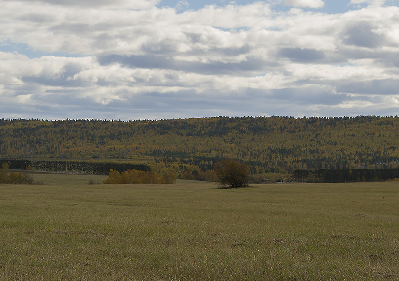 � ����� ��������