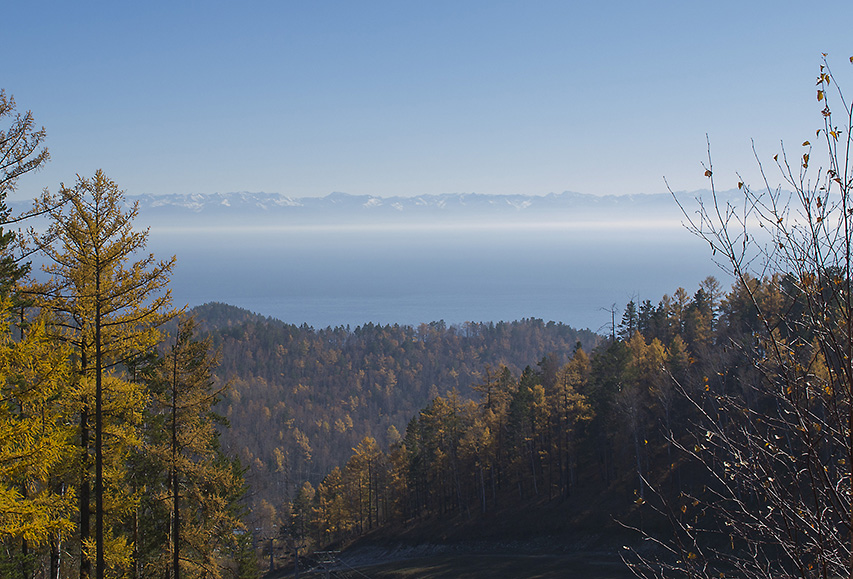 ��� � ������� ���������� � ���������