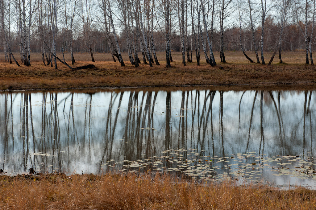 � ������� ����������