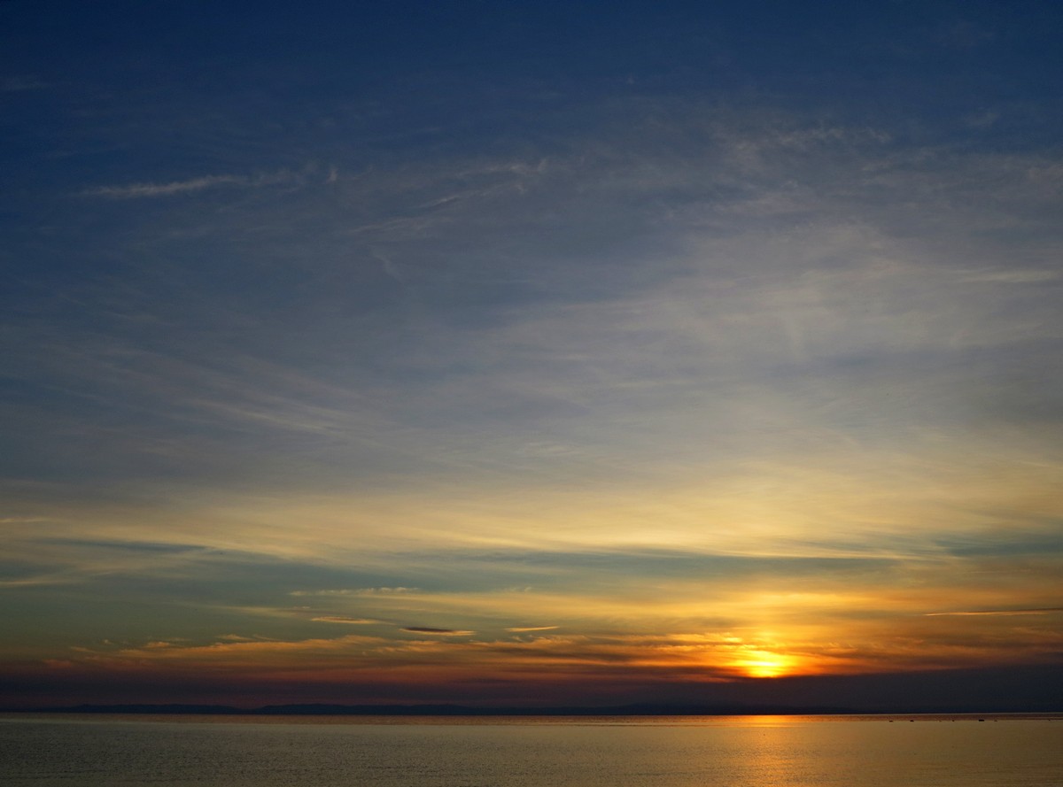 �������� �����