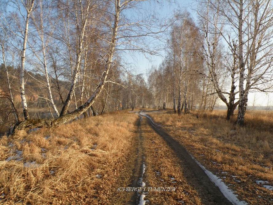 ������ ������� �����