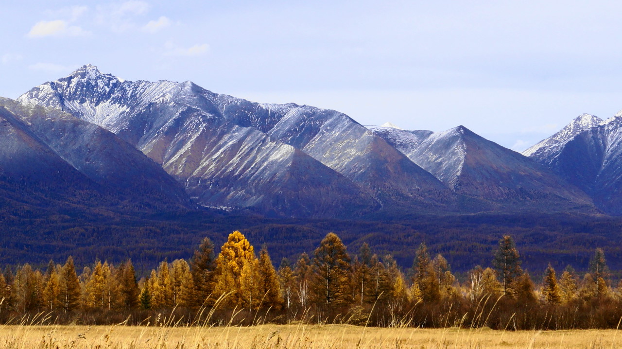 ����� - ������ ���� ...