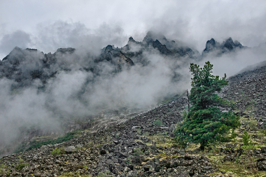 �������� � ������ �.�����-��������