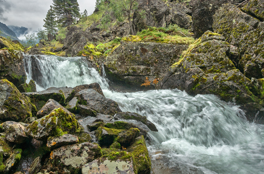 �.�����-�������� �� ������� ���� ����