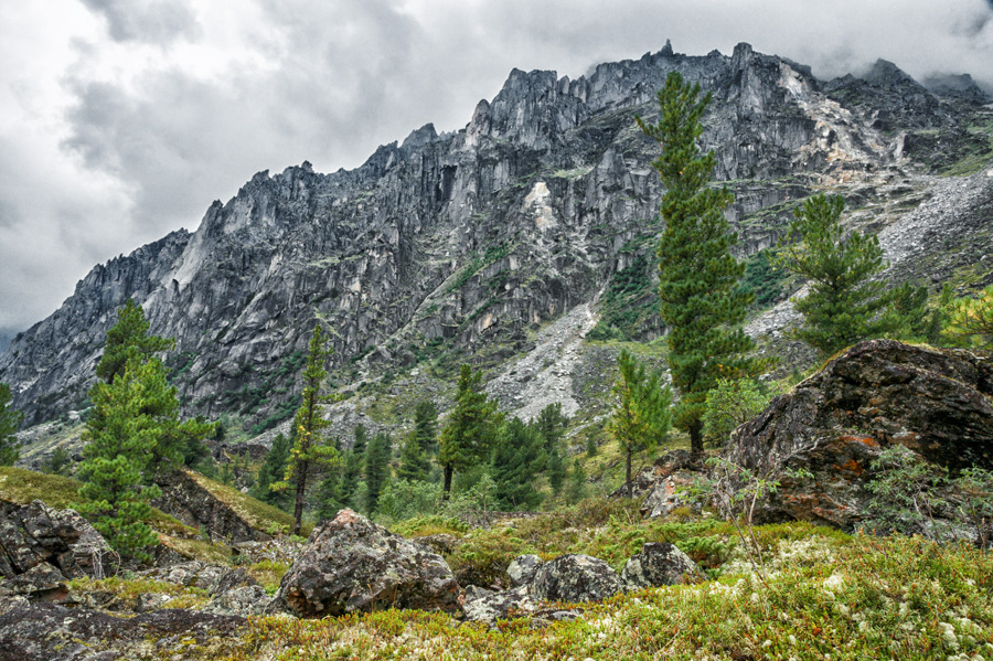 �.�����-�������� �� ������� ���� ���� 2