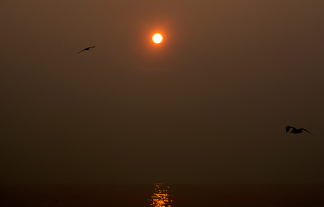 ������ ���� 2015-��