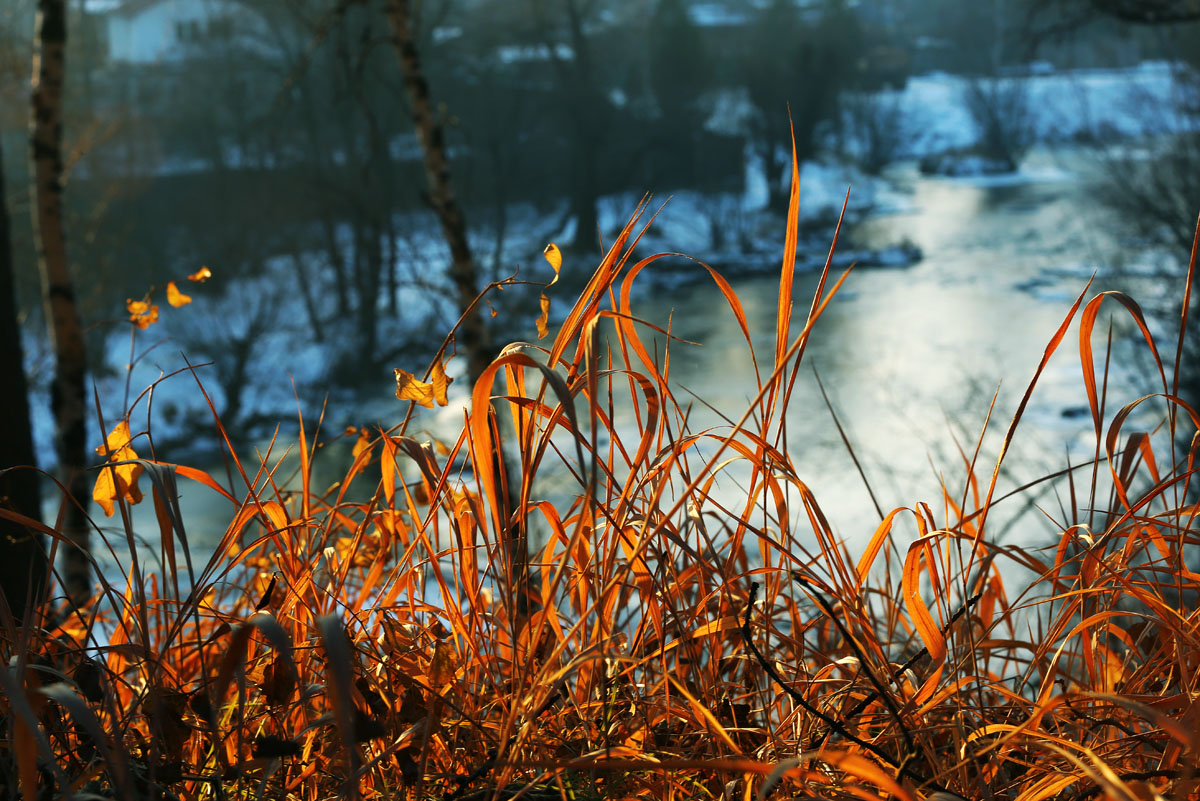 � ��������� ������