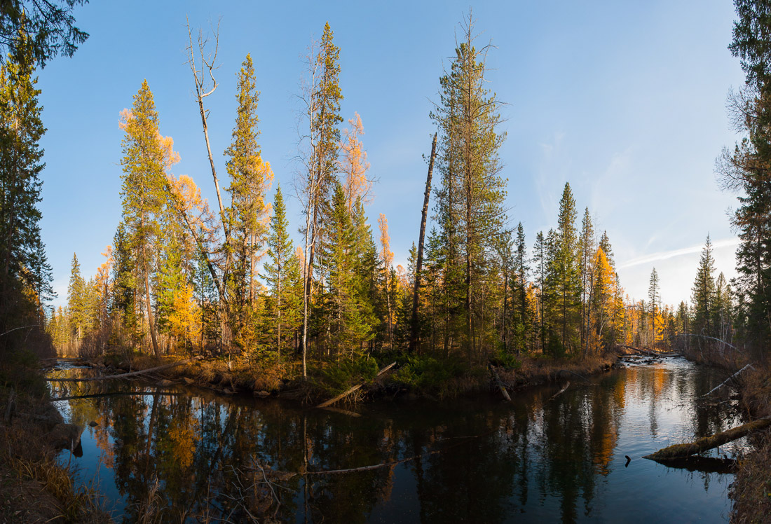 ������� ���� � ������ ��������� ������