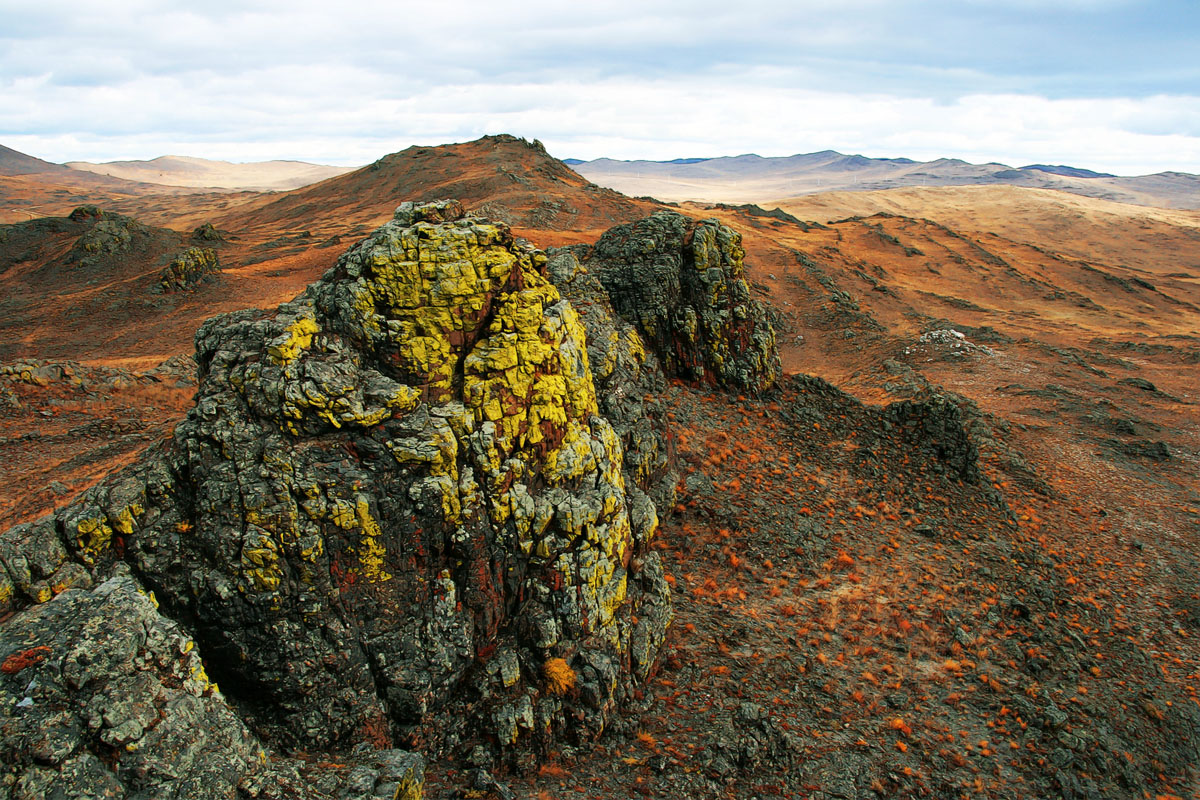 �� ������� �������