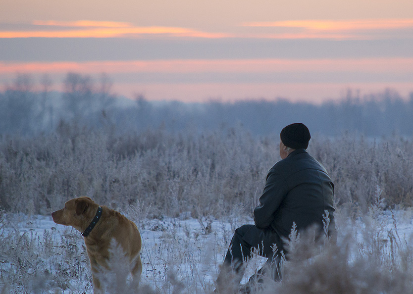 �������� ����������