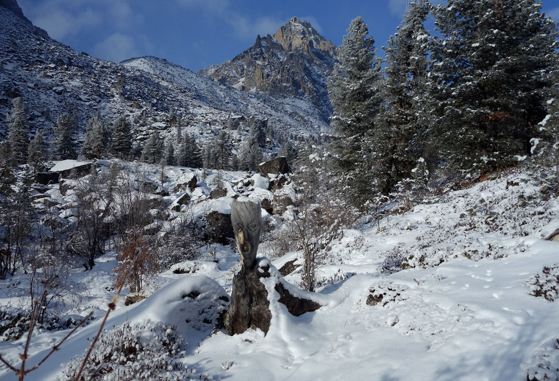 ������ ������������!