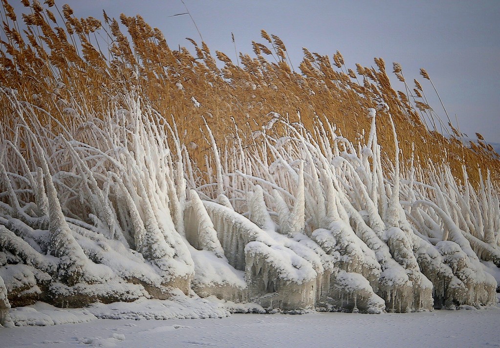 ���������: ����� � �����