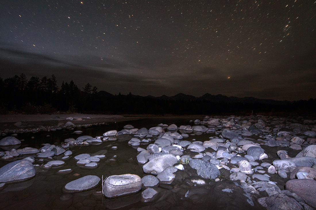 ������� ���� �� ������