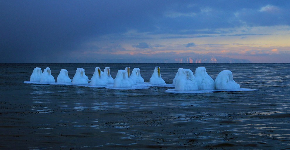 ��������� �� ���� �����������