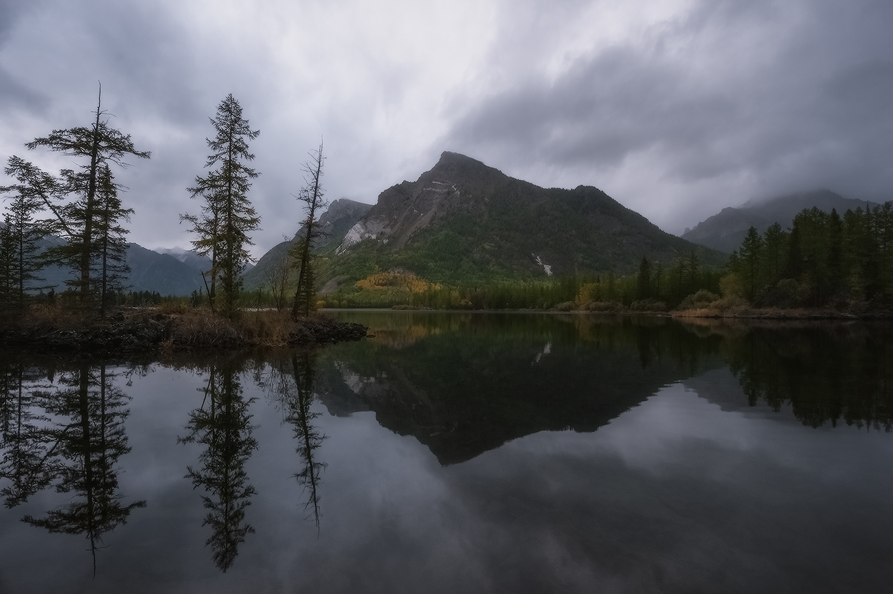 ������� ����� ���������