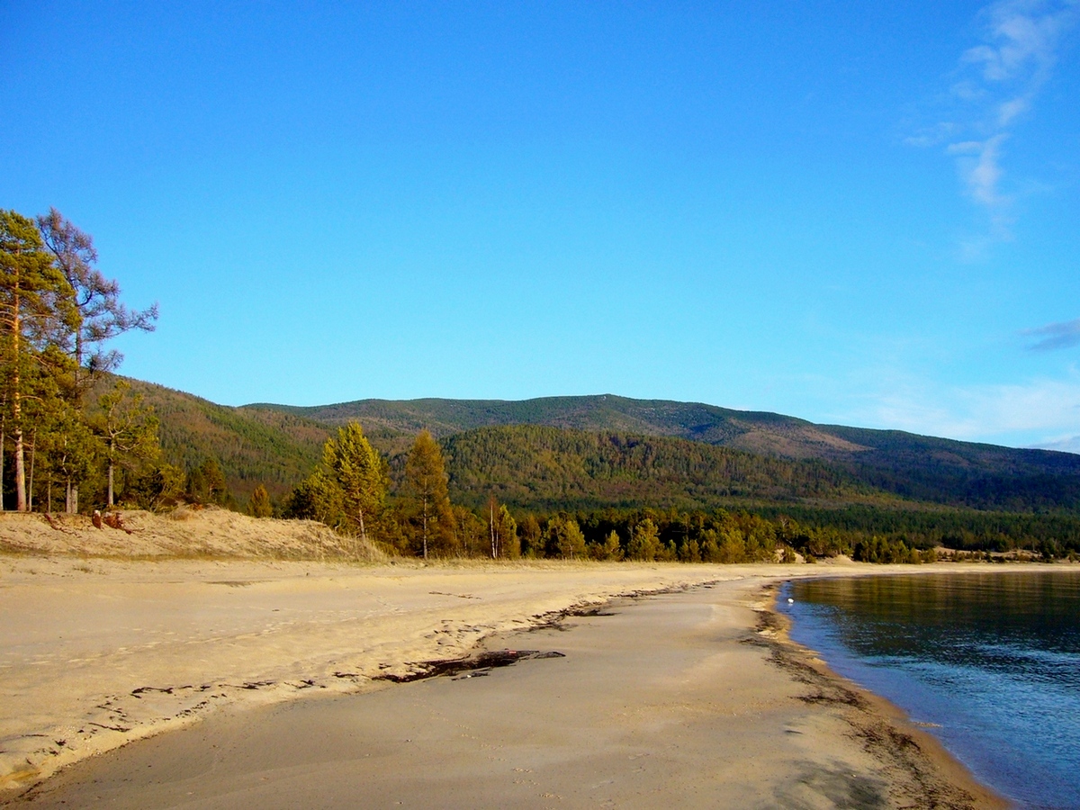 �����������