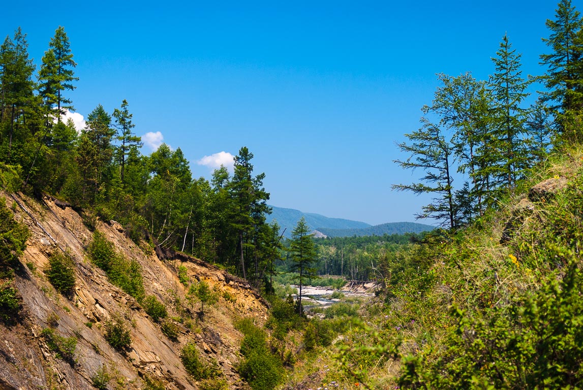 Куркула 2