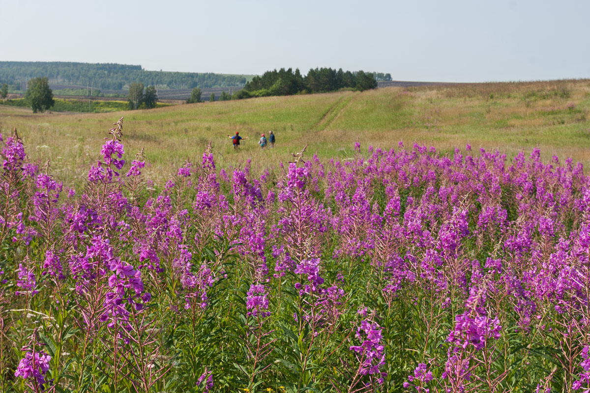 ����������� ����