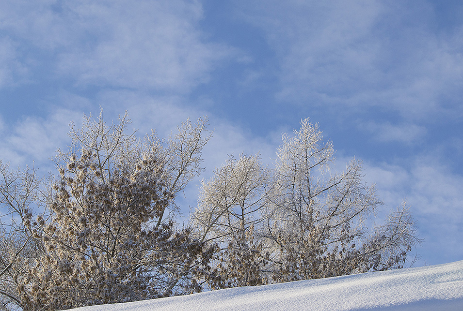 ����� ��������� ������