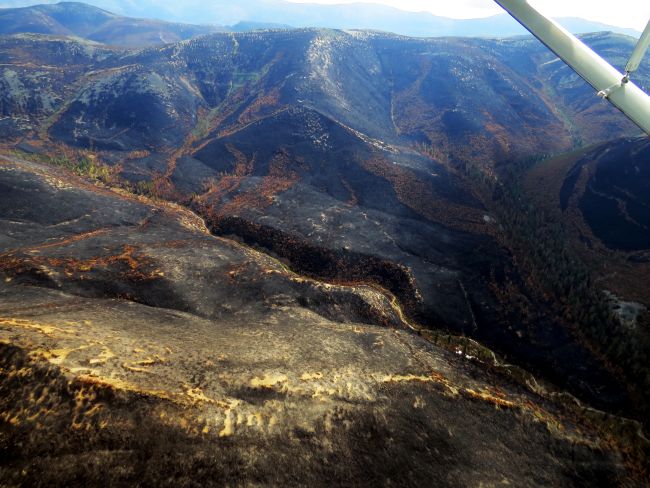 ���������� ���� �������