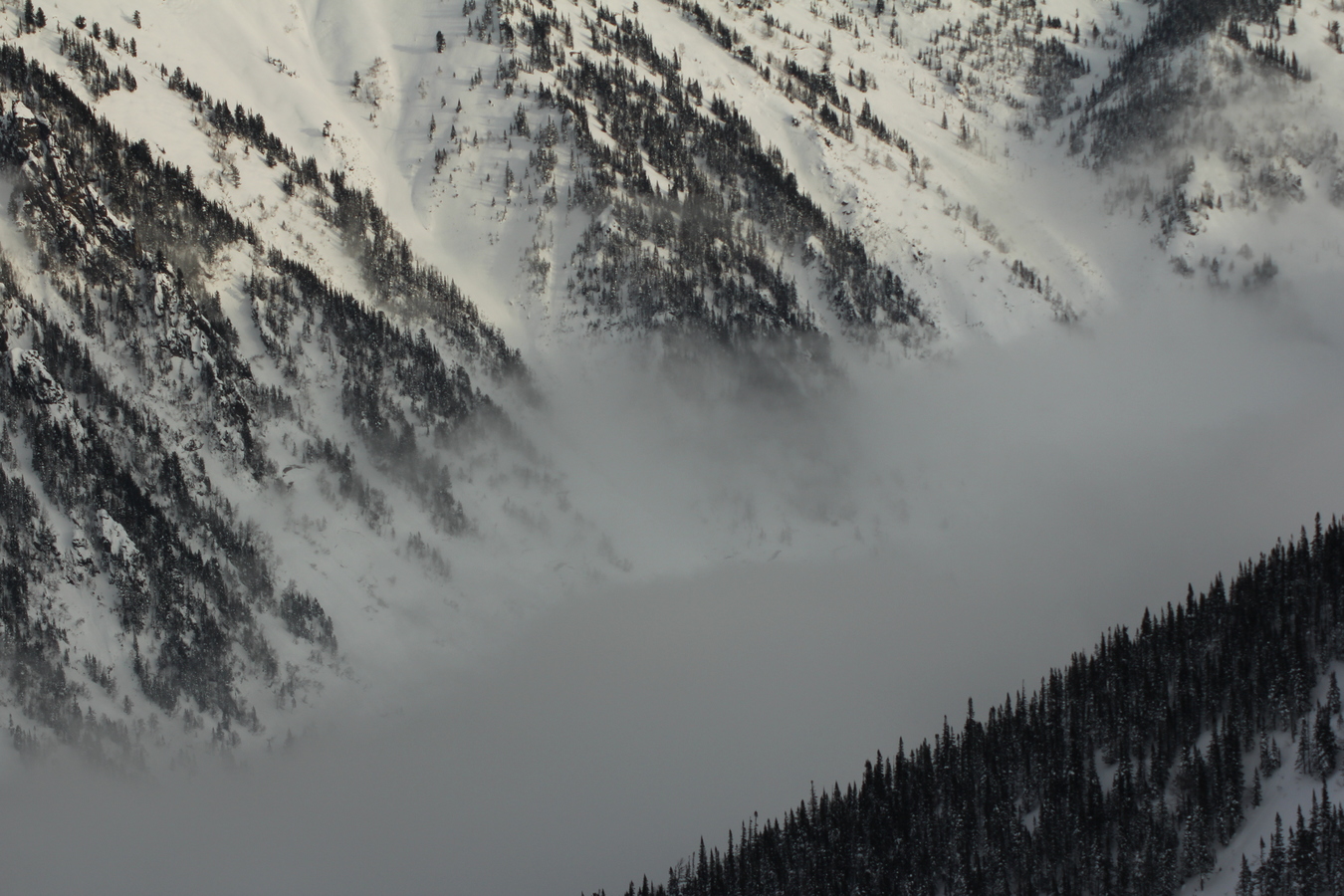 ��� ��������