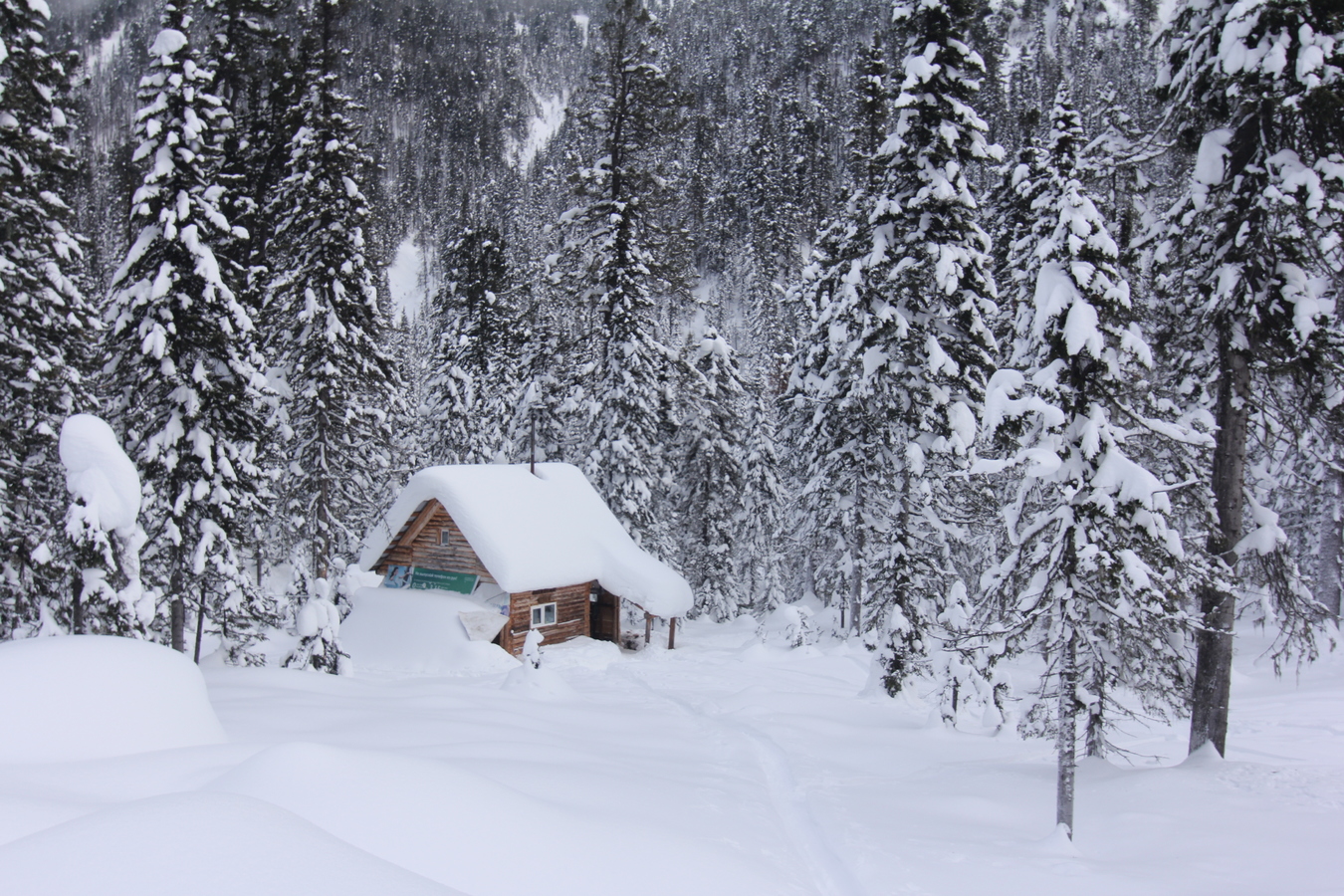 ������� ���� "��������� �������" �� �����