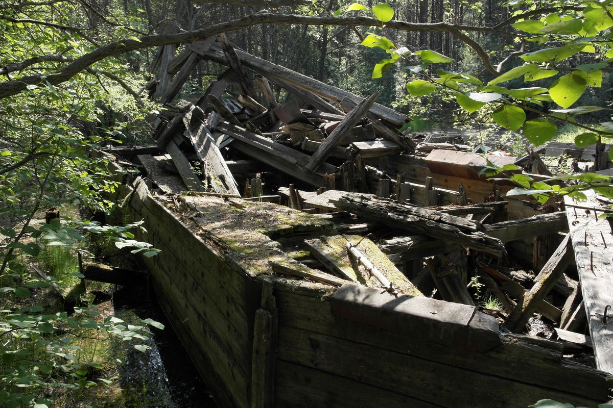 �����- 2015 �., ��� � ������