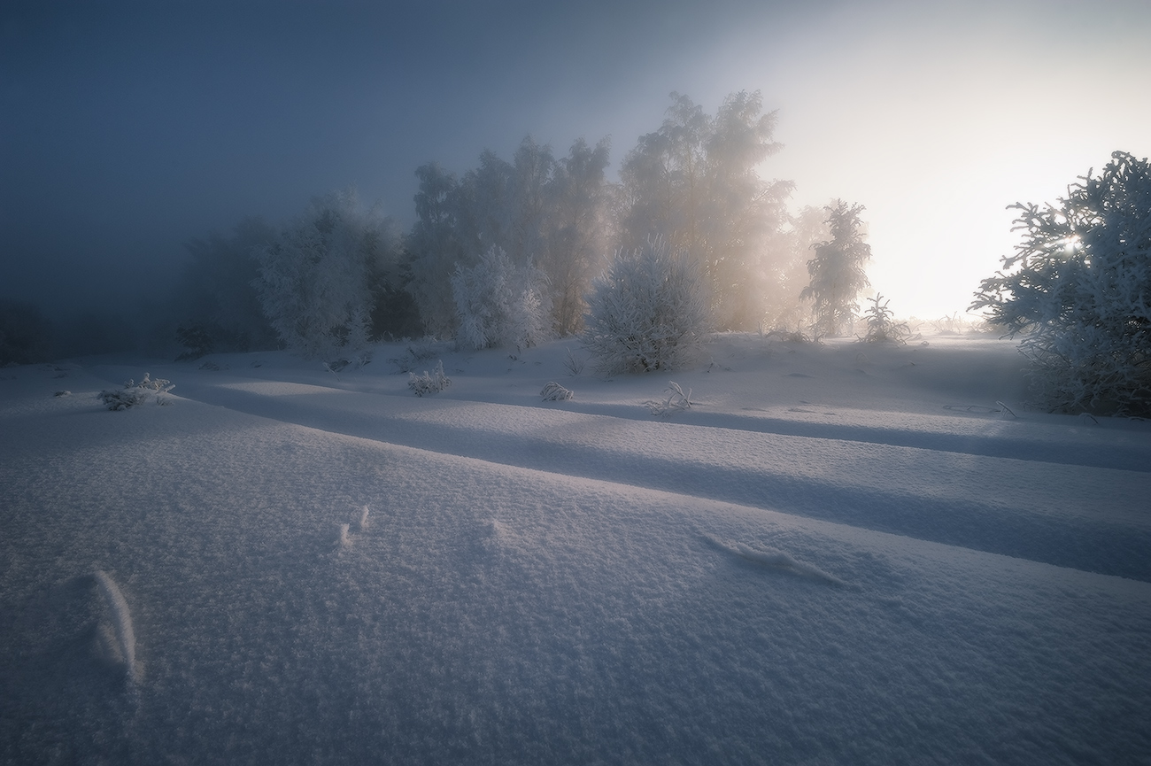 � �������