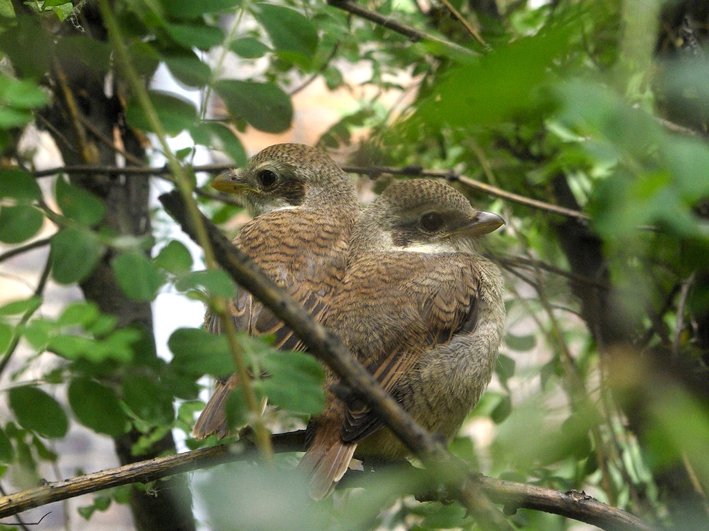 � �������� ����� 2