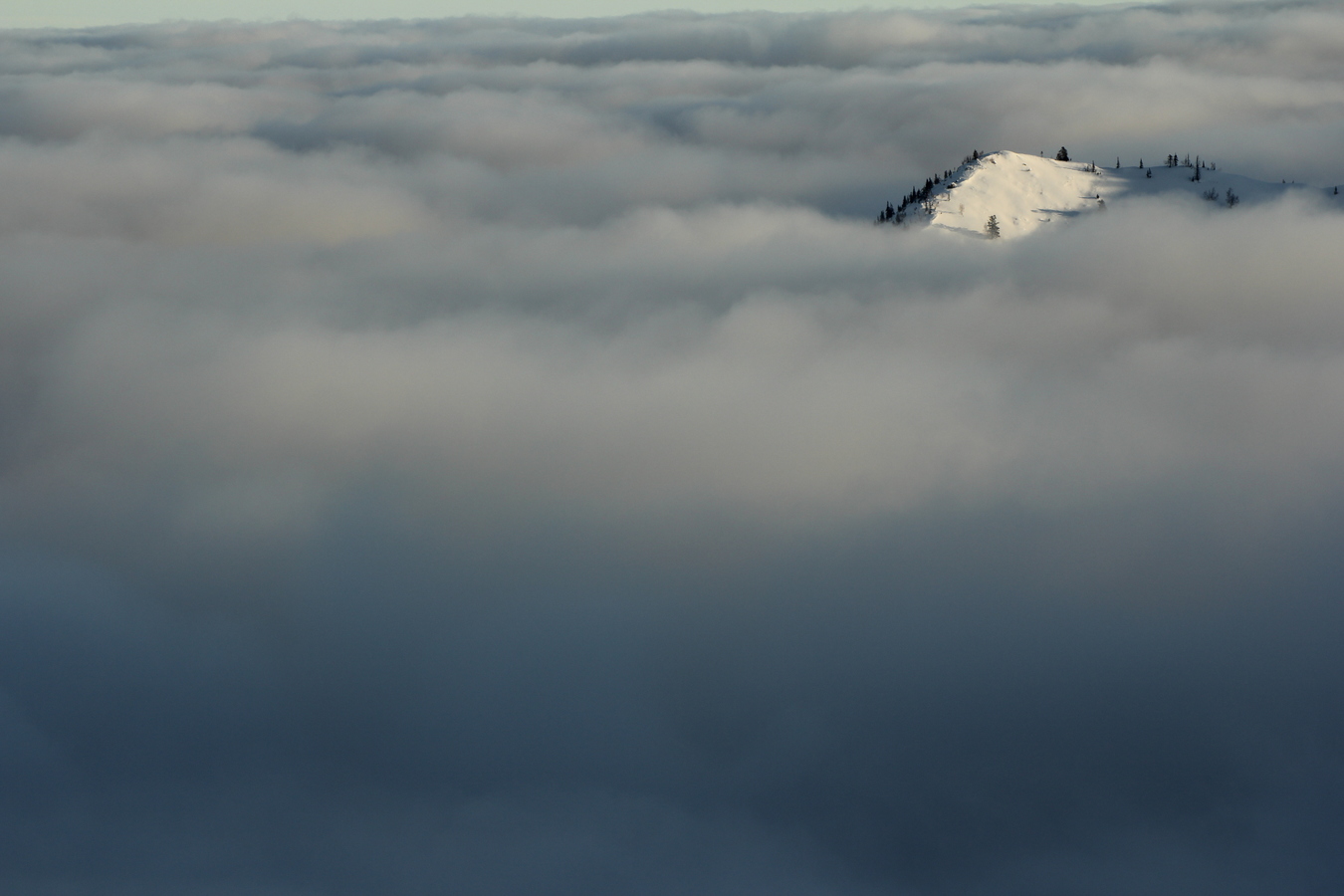 ����������