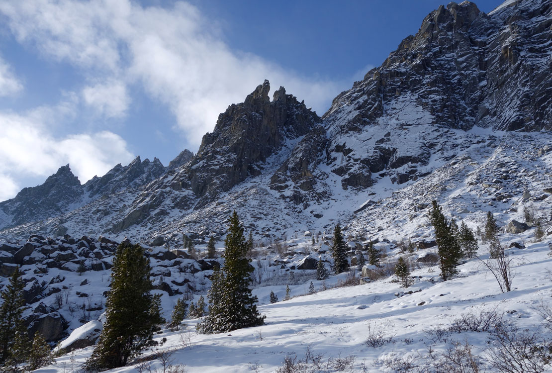 ������ �������