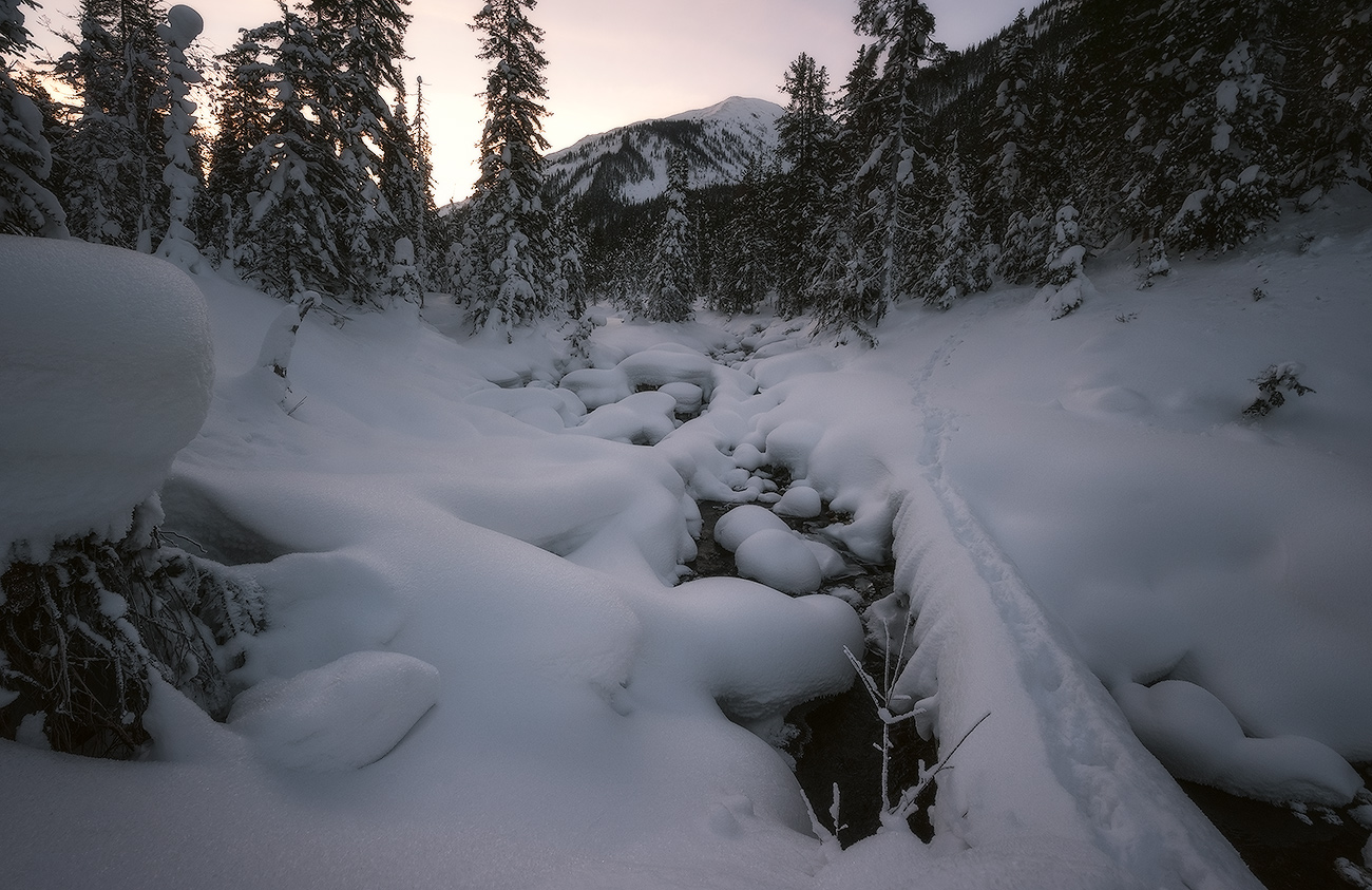 �� ��������