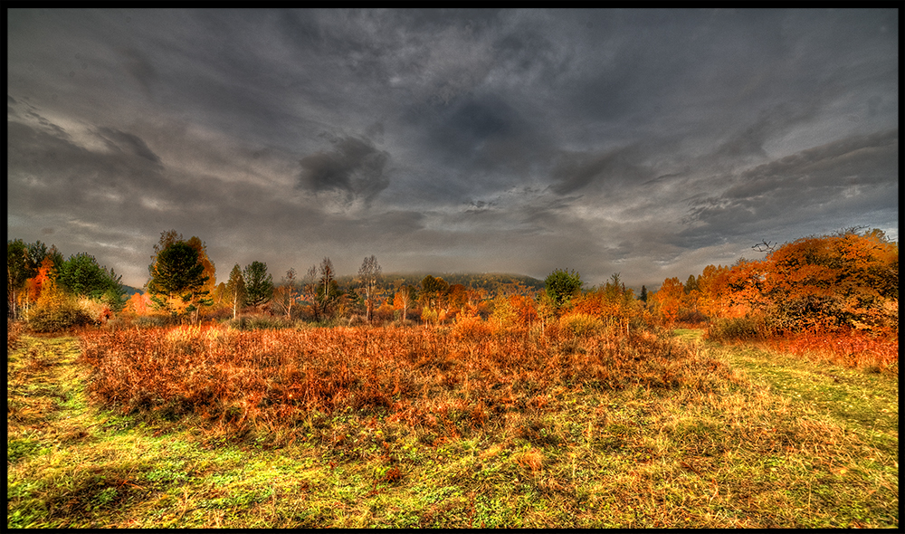 ������� ���������