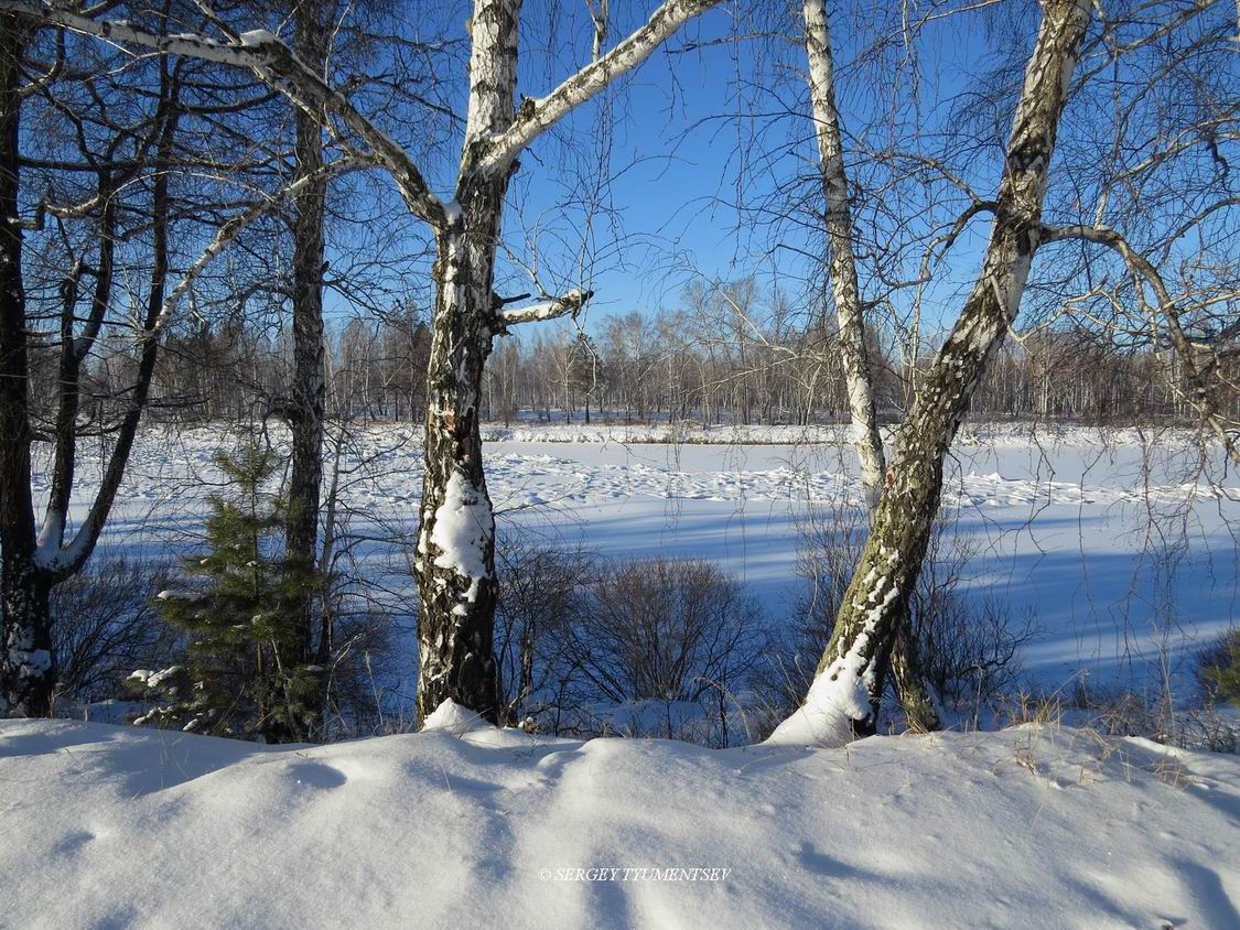 �������� ���������