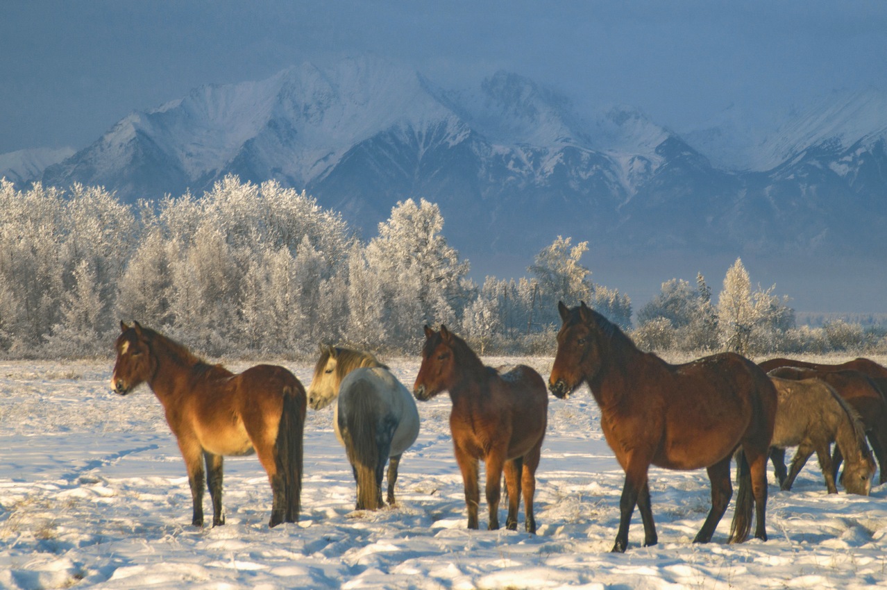 ���������������