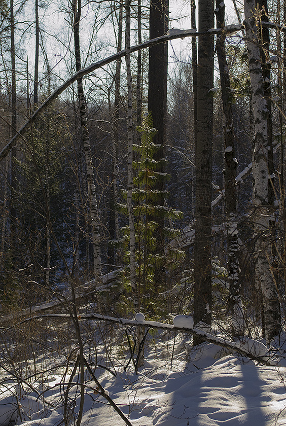 ���� �� ���� 2