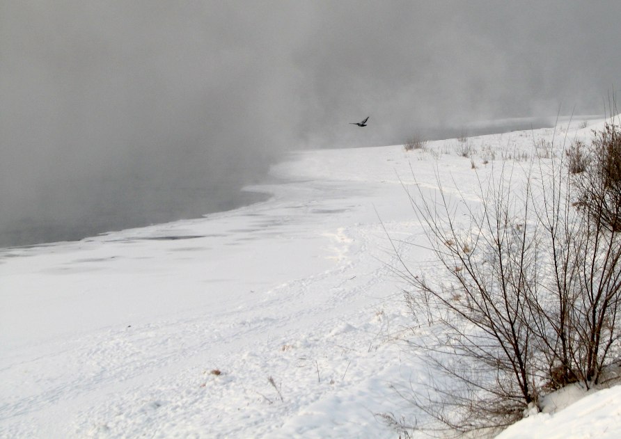 ������, � �����