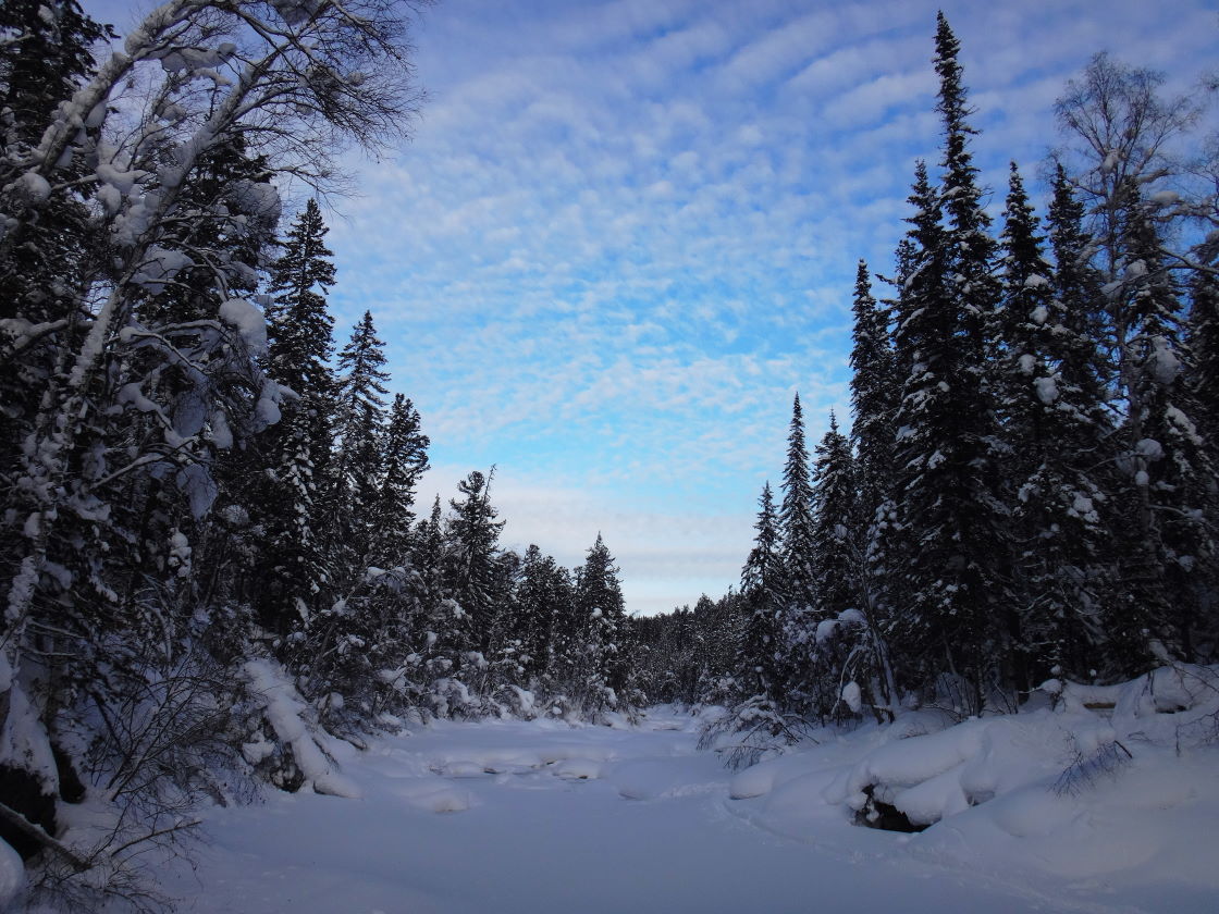 ��� �� ����� ���� �� ���� ��������