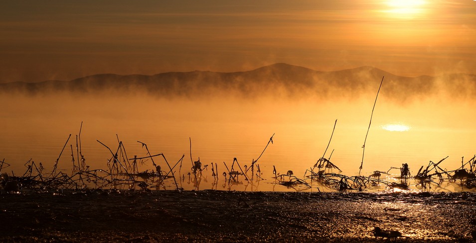 �� ������ � �������