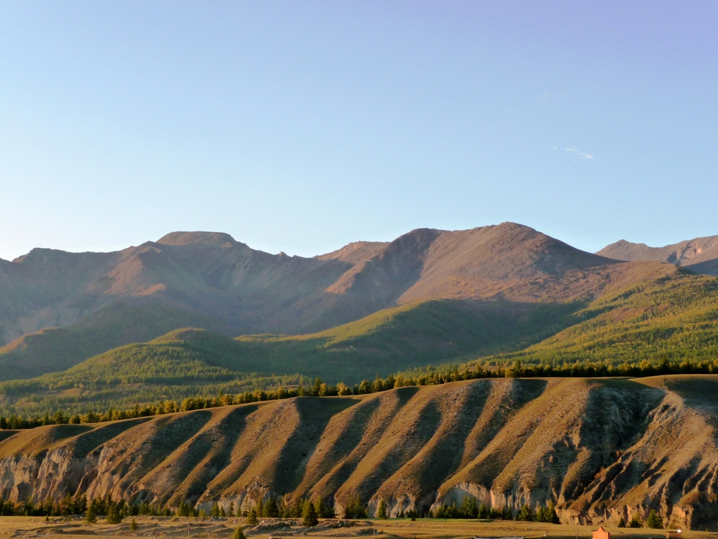 ���� ��� �� ������� �����