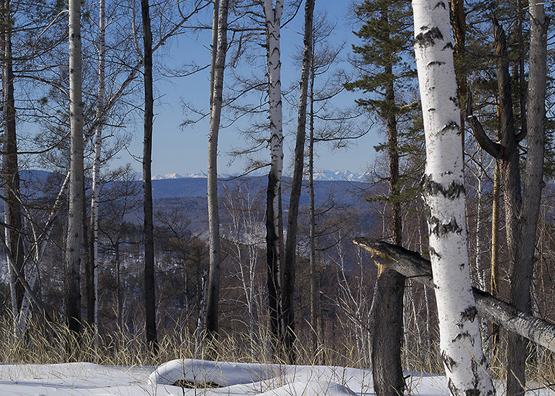 � ����������� 35 �� ����������� ������