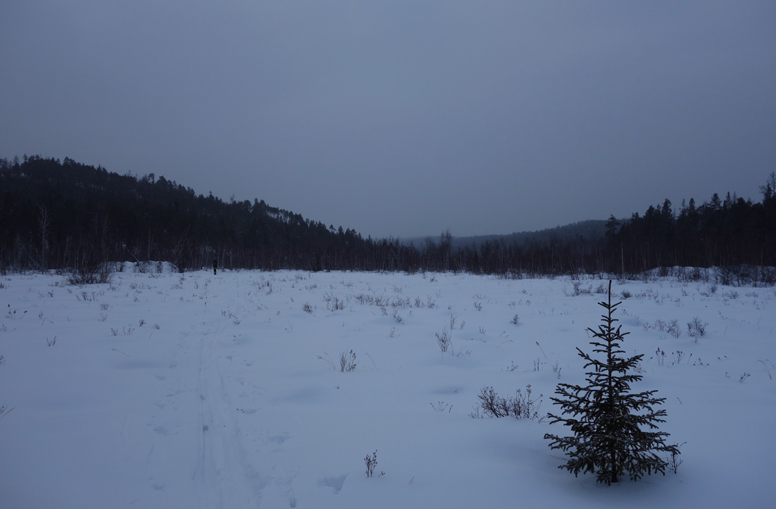 ������ ���� �������