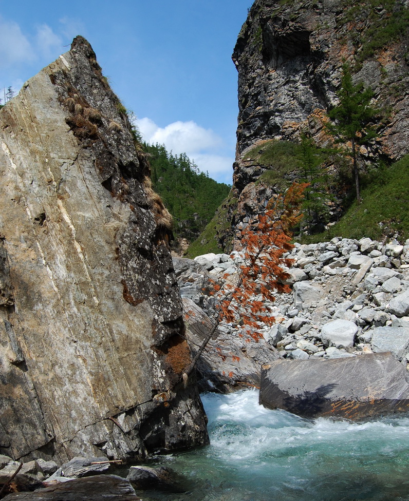 ����������� ������� �� �������� 2014 ����