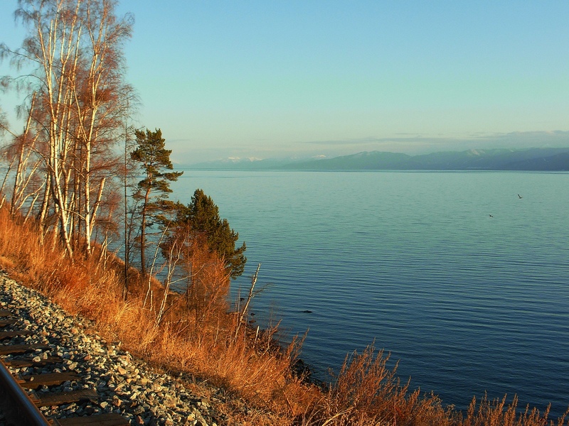 ������� � �������