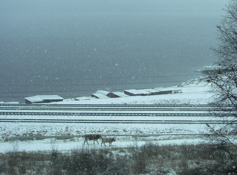 ������ ����. ��� �� ����