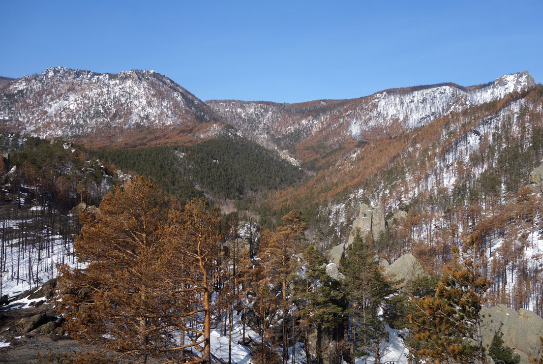 ���� ��������