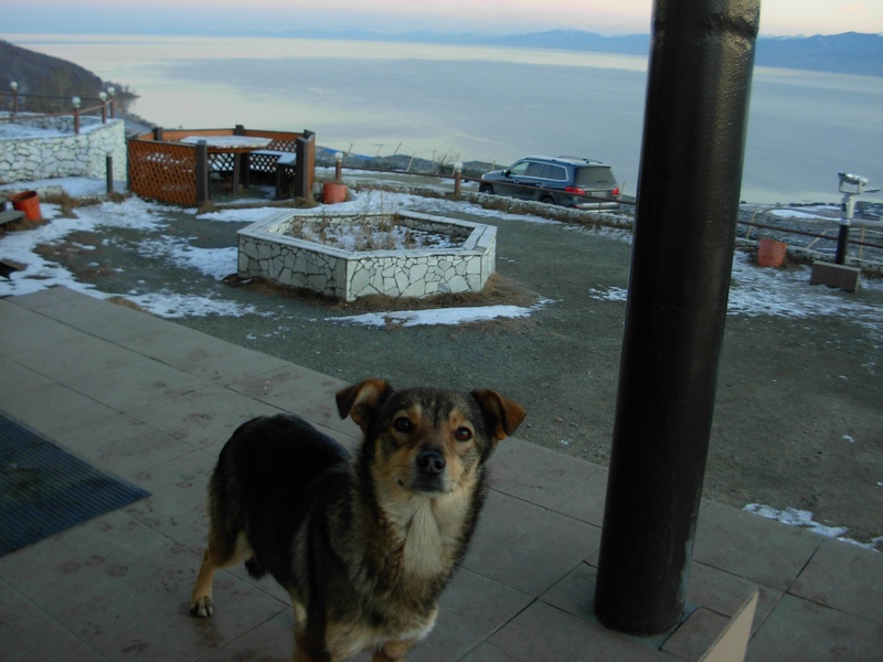 ��� ��� - ������